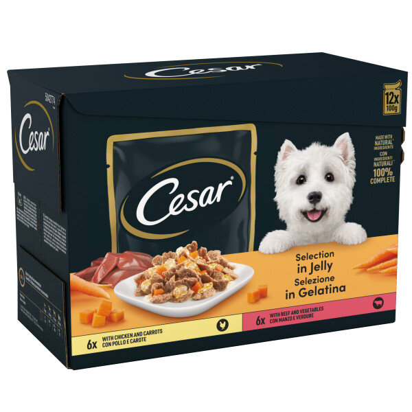 Cesar senior sales dog food pouches