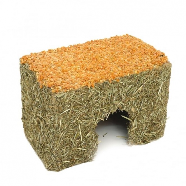 Rosewood Naturals Medium Carrot Cottage Toy For Small Animals