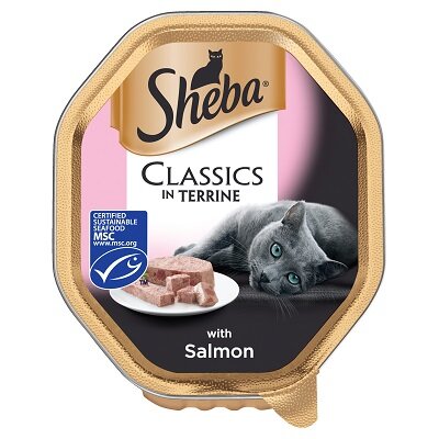 Sheba Tray Classic Salmon in Terrine 22 x 85g