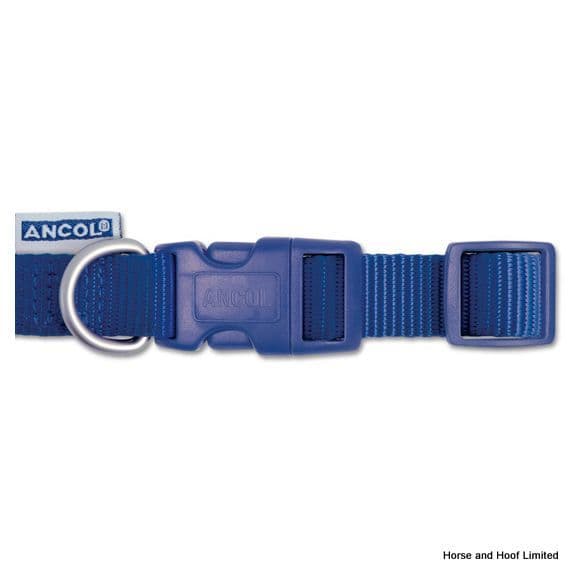Ancol nylon on sale dog collar