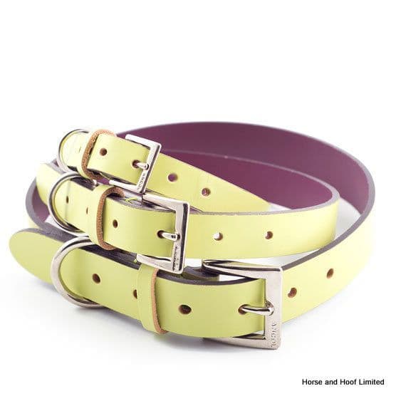 Ancol Lime Indulge Leather Dog Collar