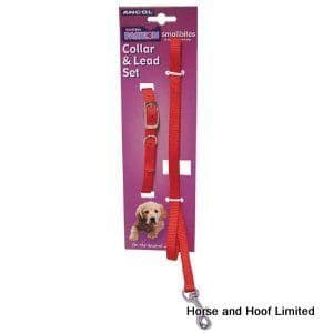 Ancol Nylon Puppy Collar & Lead Set