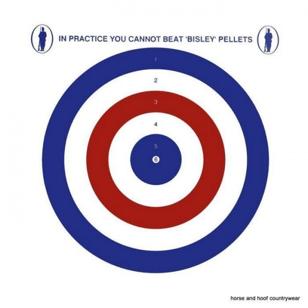 Bisley Small Coloured Targets Grade 2 or Grade 3 - 14cm x 14cm