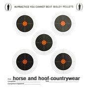 Bisley Standard Five Targets Grade 2 or Grade 3 - 17cm x 17cm