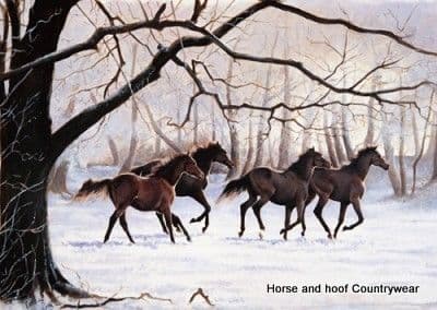 Caroline Cook Winter Gallop