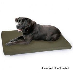 Chilli Dog Waterproof Crate Mat