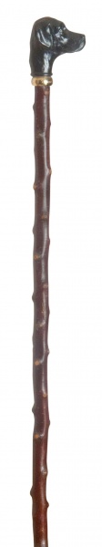 Classic Canes Black Labrador on long blackthorn shaft