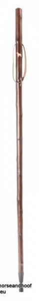 Classic Canes Chestnut Hiking Staff With Labrador Carved Motif