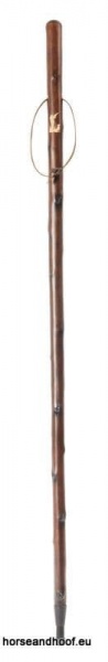 Classic Canes Chestnut Hiking Staff With Shooting Carved Motif