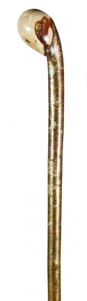 Classic Canes Hazel Coppice Knobstick