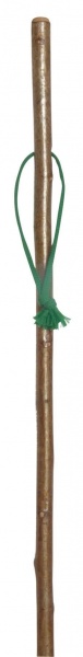 Classic Canes Hazel Hiking staff With Combi - Spike Ferrule With Green Wrist Loop