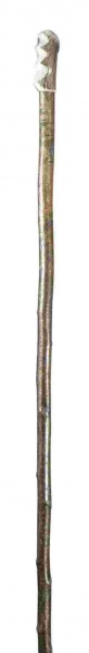 Classic Canes Horn Beagling Stick