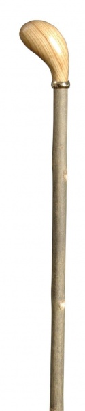 Classic Canes Pistol Grip Polished Ash Handle With Ash Shaft
