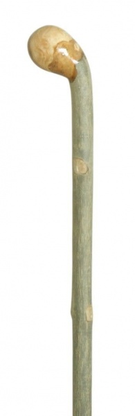 Classic Canes Stout Ash Coppice Knobstick