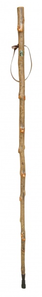 Classic Canes Varnished Ash Hiking Staff