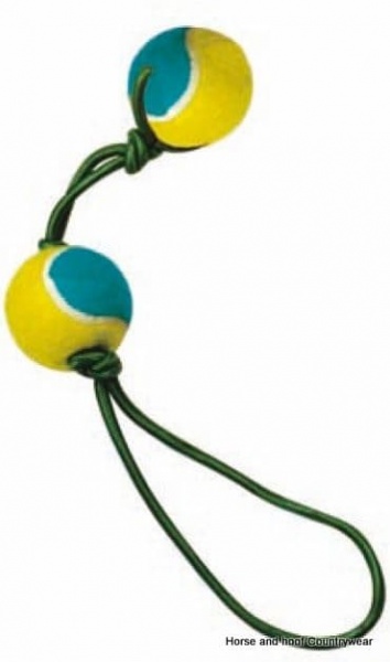 Companion 2 Tennis Balls on Blue Elastic Rope