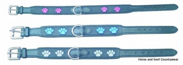 Companion Leather Dog Collar with Paw Prints