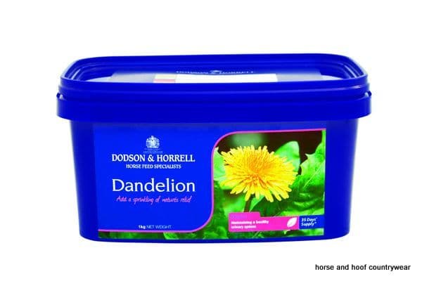 Dodson & Horrell Dandelion