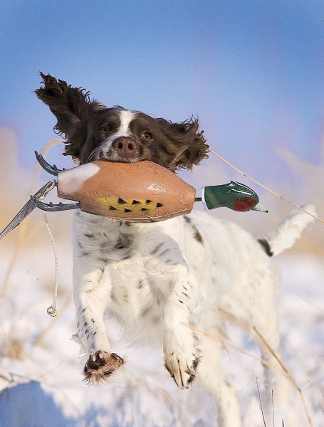 Dokken Dead Fowl Trainers - Pheasant Dog Training Dummy