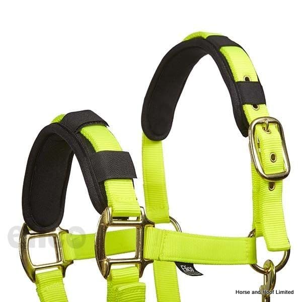 Elico Memory Foam Headcollar Pad - Crown