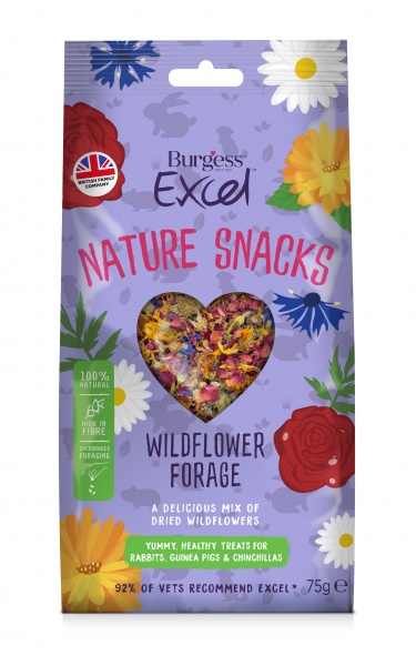 Burgess Excel Nature Snacks Wildflower Forage 6 x 75g