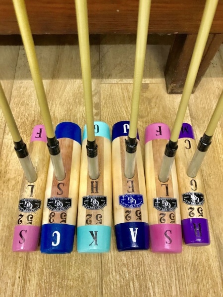Fibercane Polo Mallet Arena with Painted Tips