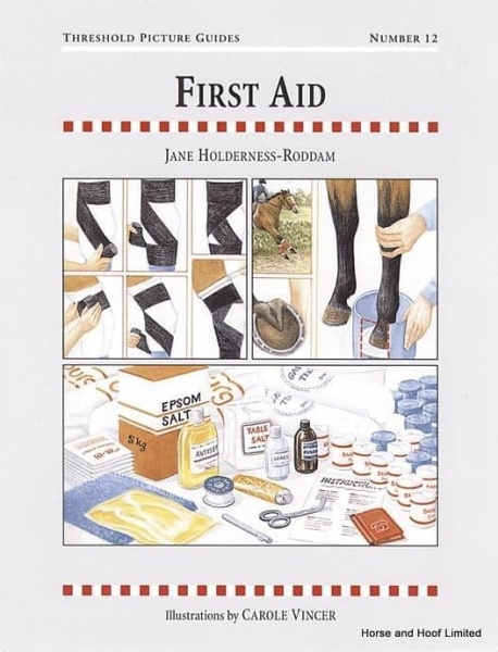 First Aid - Jane Holderness - Roddam