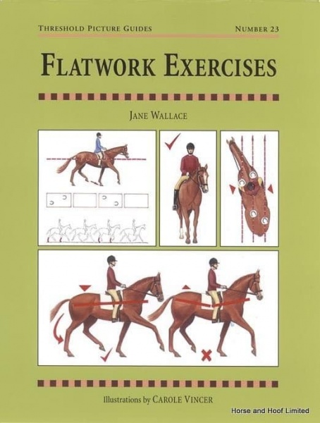 Flatwork Exercises - Jane Wallace