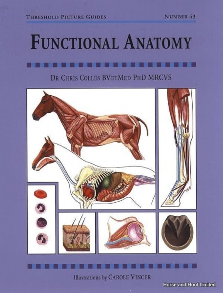 Functional Anatomy - Dr Chris Colles
