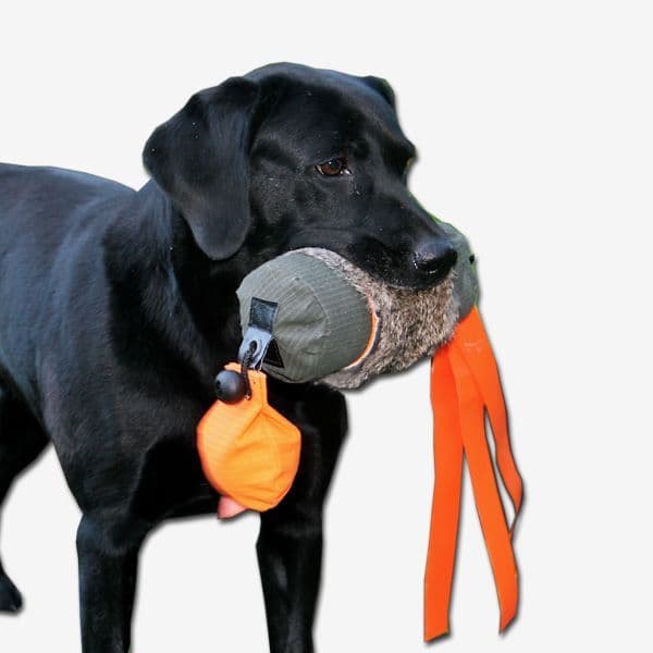 Game Bird Gun Dog Training Dummy