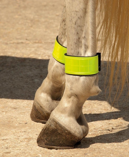 Harlequin - Neoprene Reflective Leg Bands (One pair)