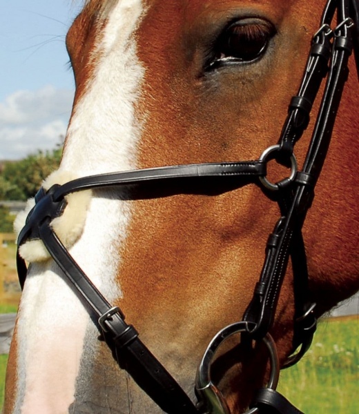 Heritage - English Leather Bridle With Mexican Noseband