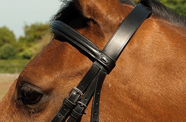 Heritage English Leather Bridle With Raised Cavesson Noseband