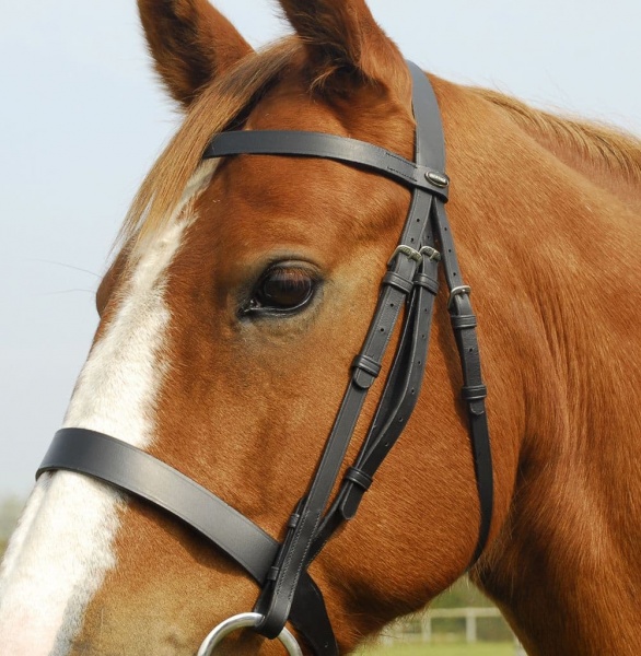 Heritage - English Leather Hunter Bridle With Wide Cavesson Noseband