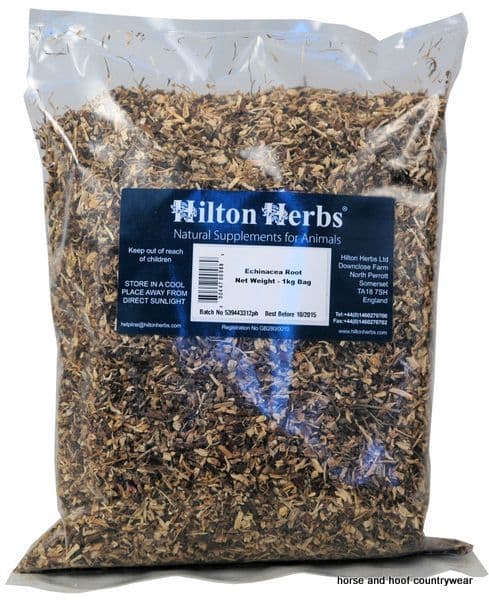 Hilton Herbs Echinacea Root