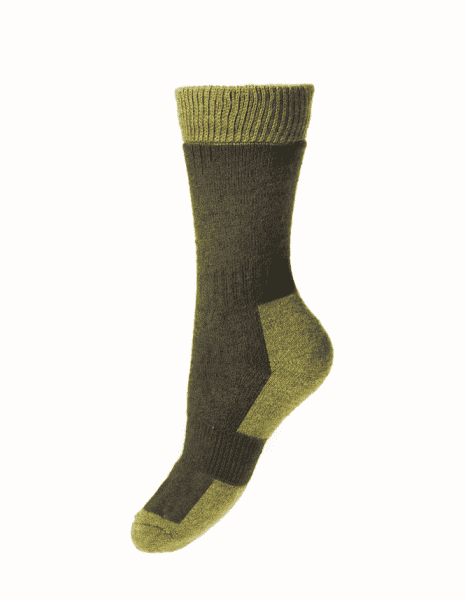 House Of Cheviot Lady Glen Socks - Spruce