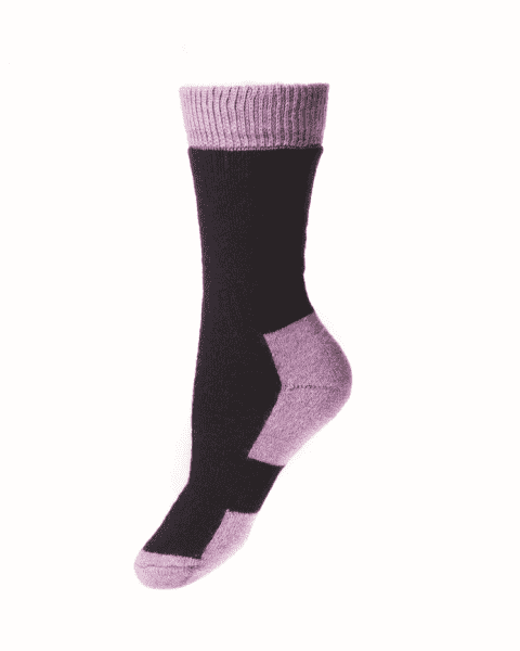 House Of Cheviot Lady Glen Socks - Thistle