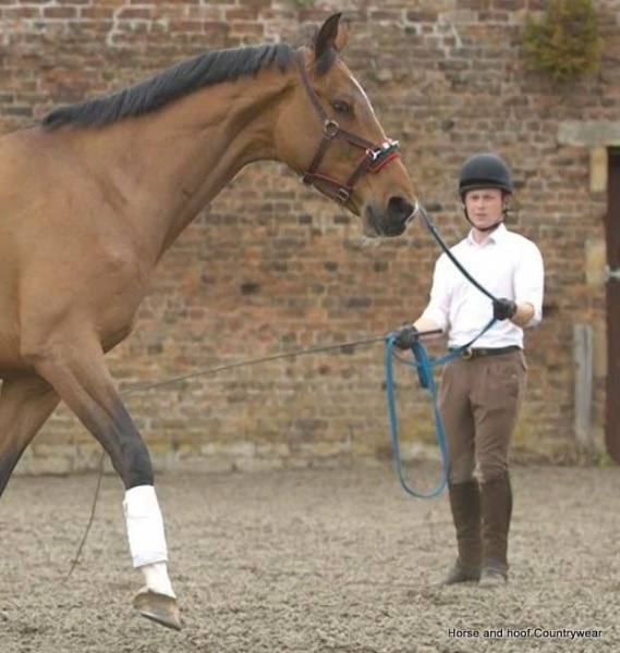 Hy Soft Webbing Lunge Rein