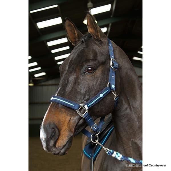 John Whitaker Diamond Headcollar/Rope Set