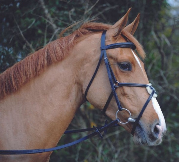 John Whitaker - English Leather Mexican Bridle