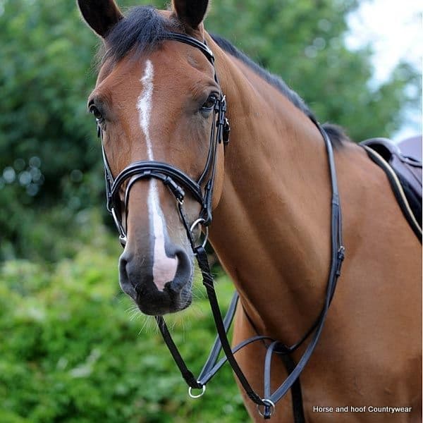 John Whitaker Leather Martingale