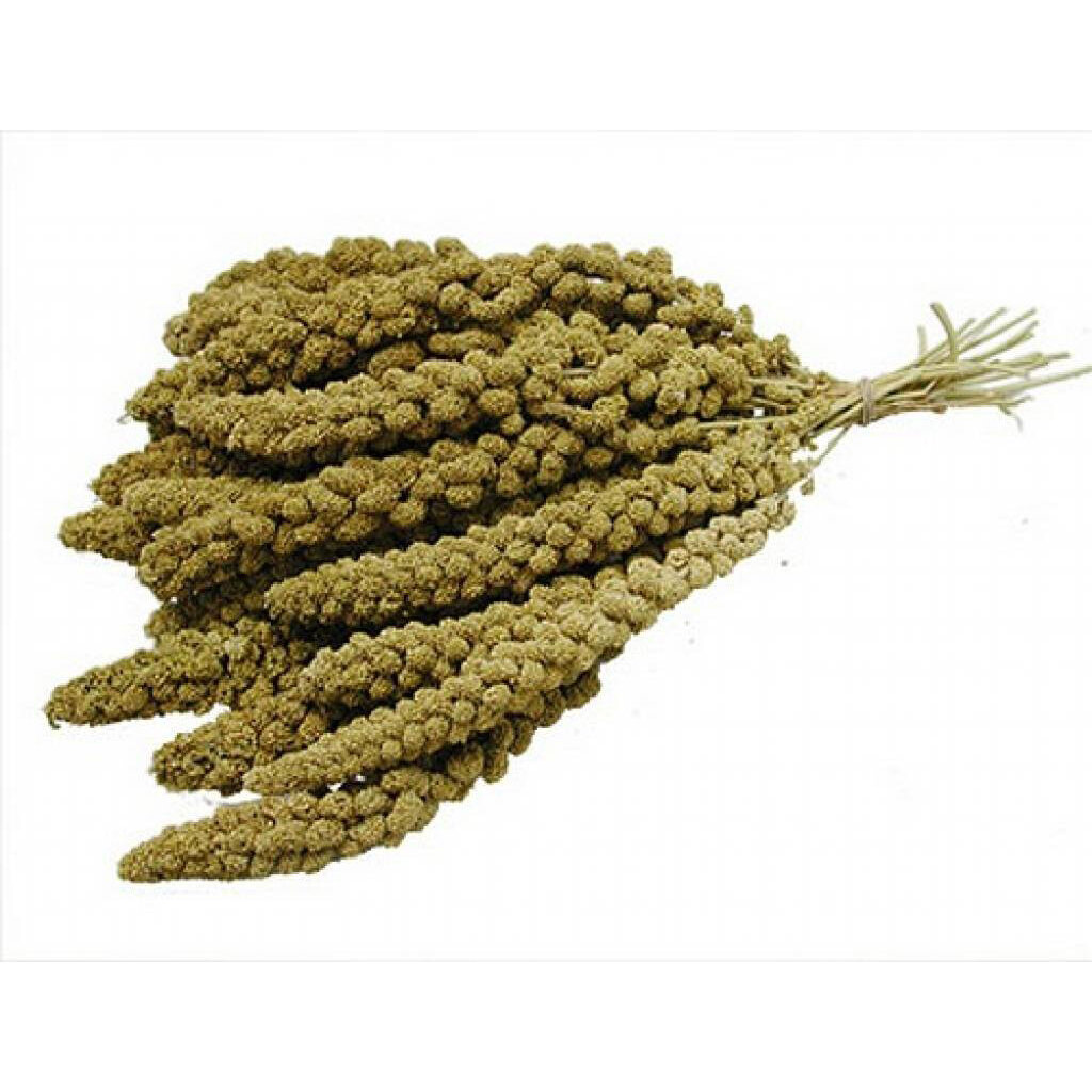 Versele Laga Chinese Yellow Millet Sprays Bird Feed 15kg