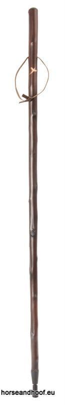 Classic Canes Chestnut Hiking Staff With Pheasant Carved Motif