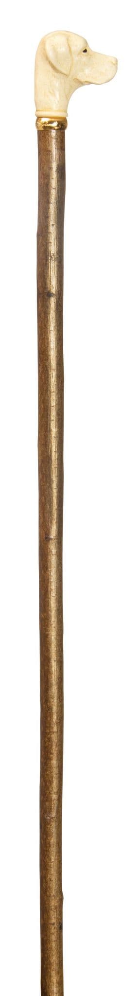 Classic Canes imitation ivory Labrador Retriever on long hazel shaft