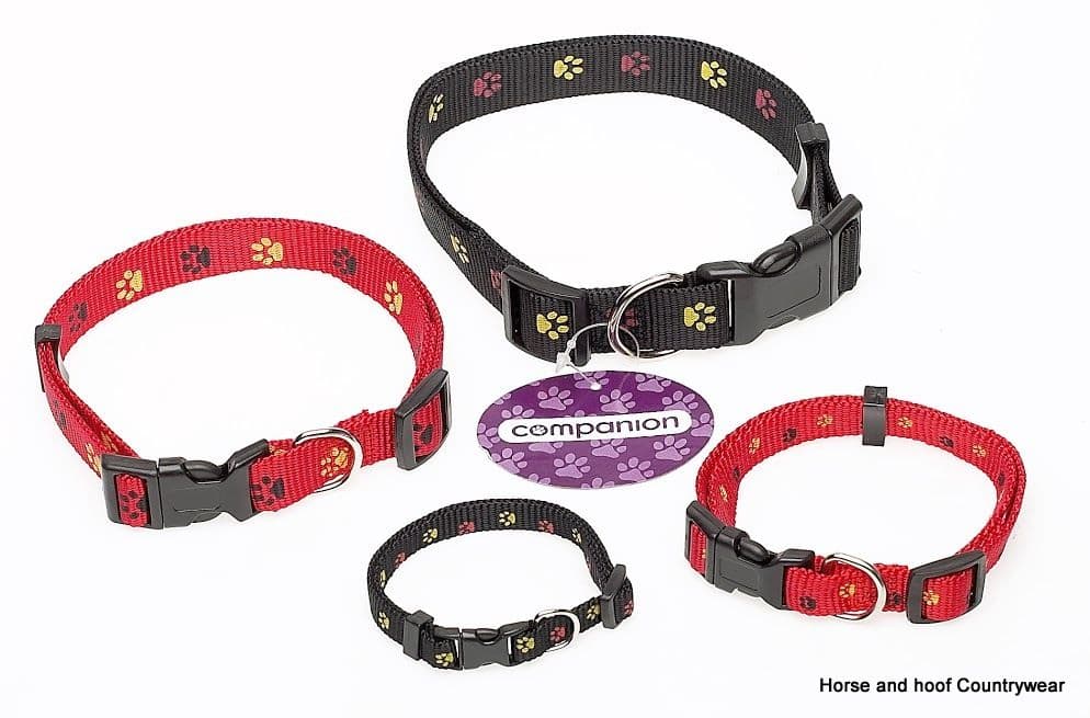 Companion Paw Print Webbing Dog Collar