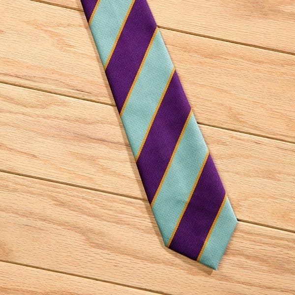 Elico PC Striped Show Tie - Childs