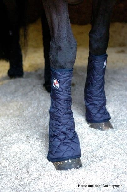 Guêtres De Sortie Equilibrium Equi-Chaps Close Contact – Navy (bleu) – Occasion