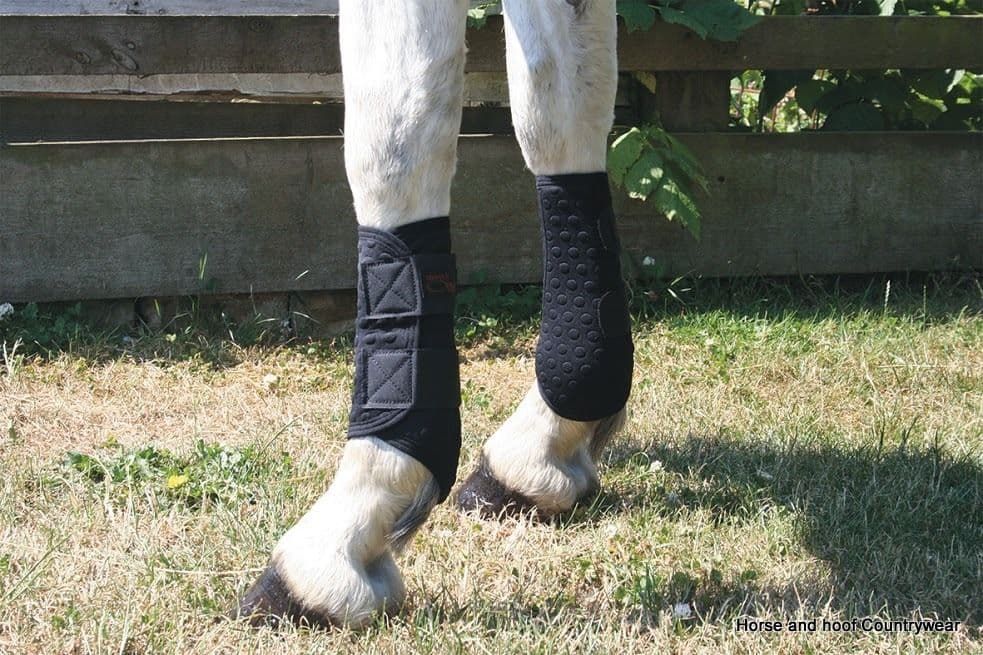 Equilibrium Stretch Flex Flatwork Wrap horse and hoof