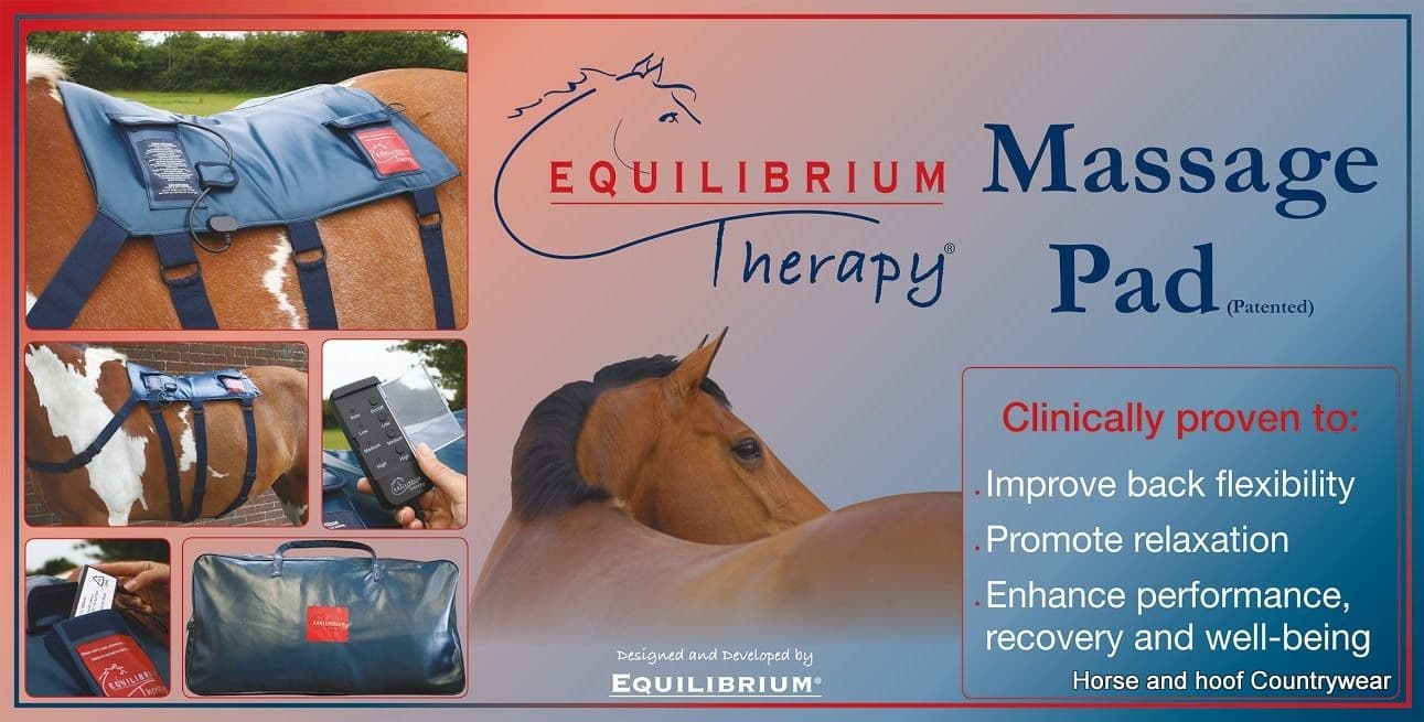 Equilibrium Therapy Massage Pad