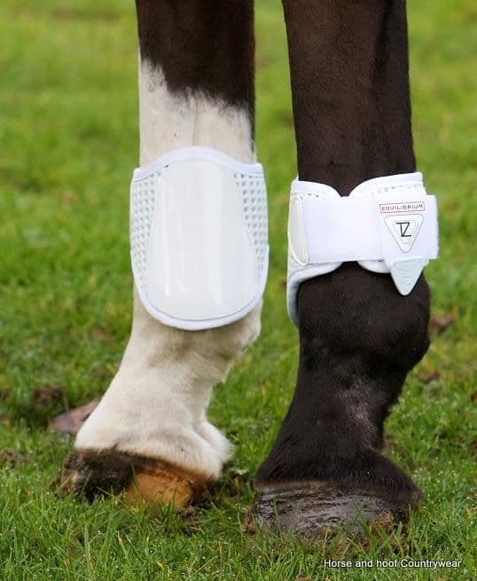 Equilibrium TriZone Fetlock Boot horse and hoof